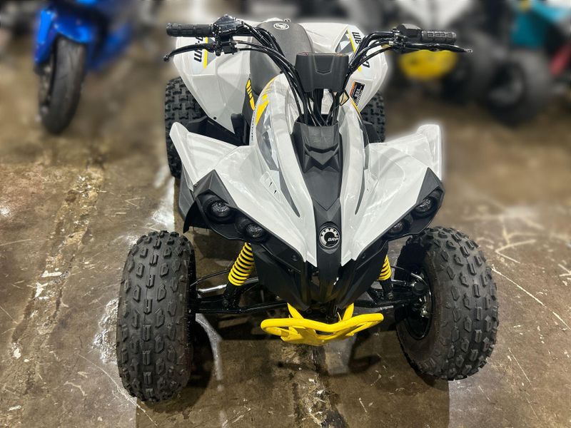 Used 2026 Can-Am RENEGADE 110 EFI Image 22