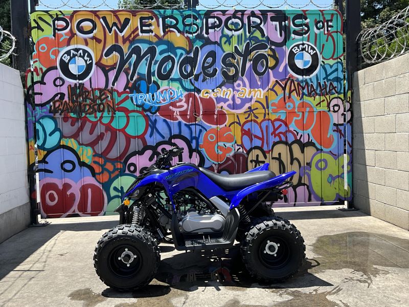 New 2025 Yamaha Raptor 110 Image 8