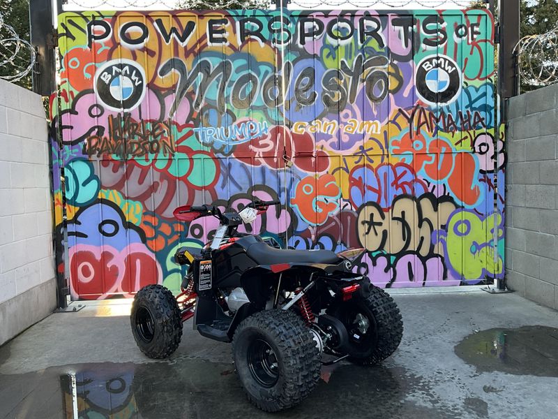 2025 Can-Am RENEGADE 110 Image 5