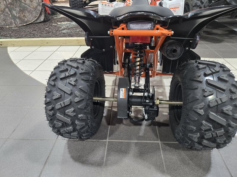 NEW 2025 KAYO PREDATOR 110 Image 14