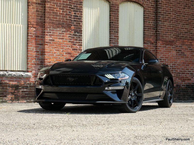 Used 2019 Ford Mustang GT Premium BlackImage 6