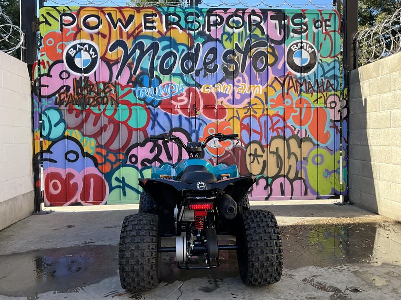 2025 Can-Am RENEGADE 110 Image 5