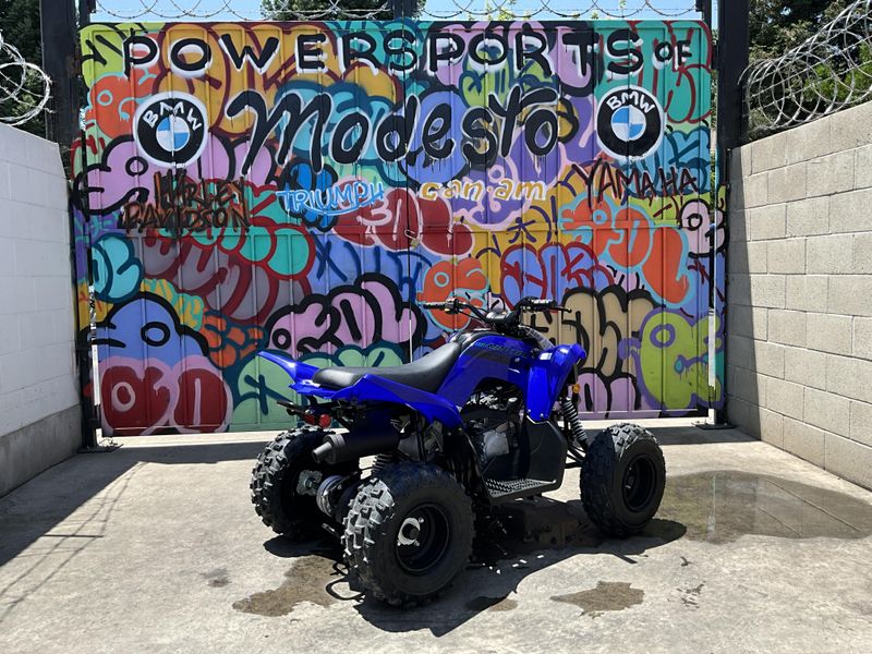 New 2025 Yamaha Raptor 110 Image 5