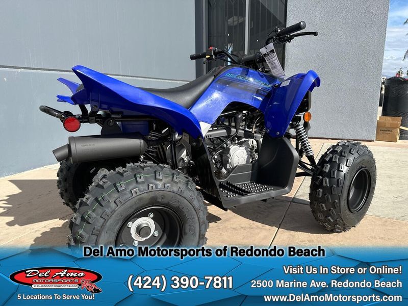 2025 Yamaha RAPTOR 110 Image 2