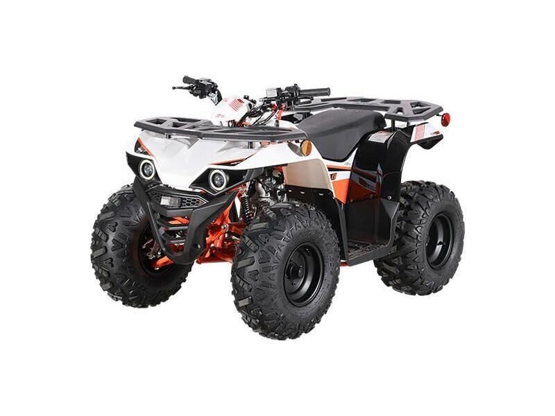 New 2025 KAYO BULL 110 Image 1