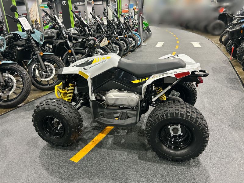 New 2026 Can-Am RENEGADE 110 EFI Image 15