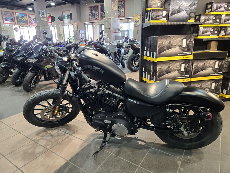Used 2014 HARLEY Sportster Iron 883 Image 4