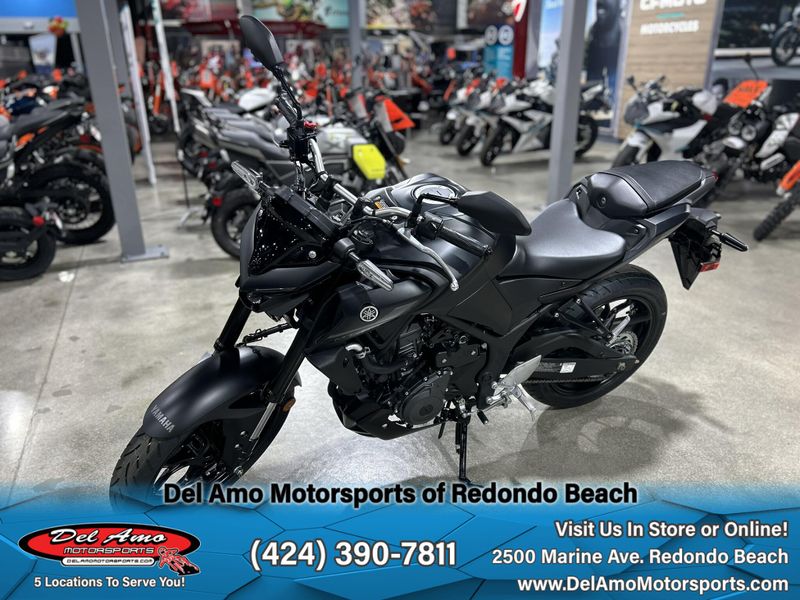 2025 Yamaha MT-03 Image 19