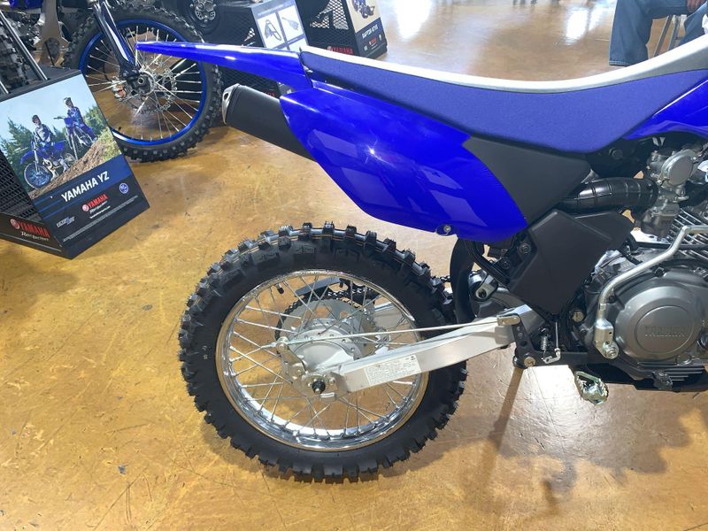 New 2025 Yamaha TT-R125LE Image 2