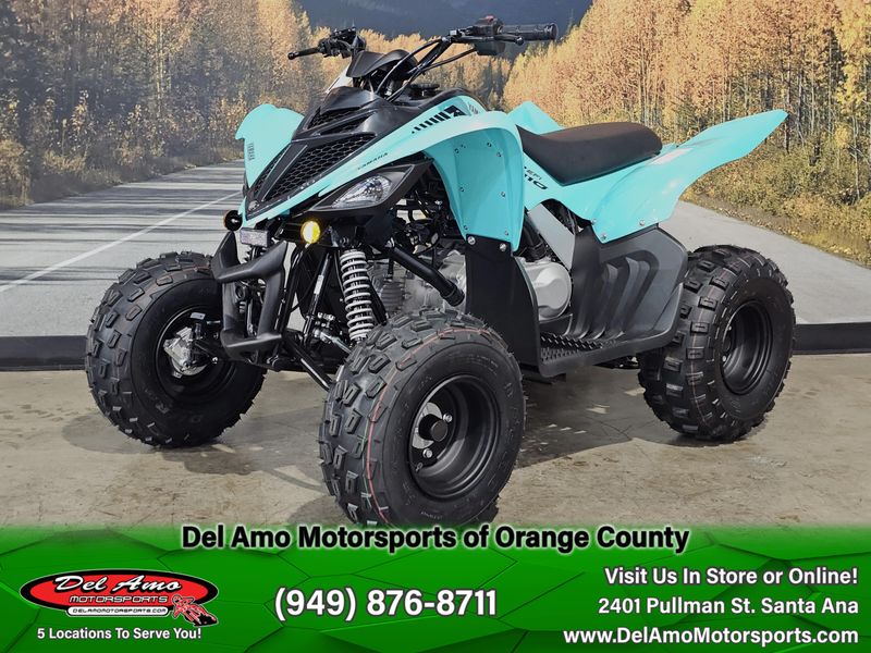 New 2025 Yamaha RAPTOR 110 Image 5