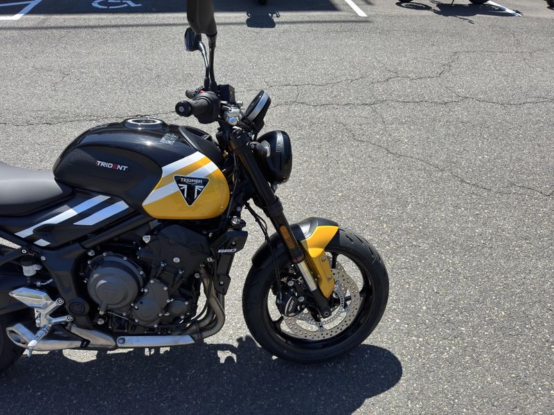 2025 Triumph Trident 660 - COSMIC YELLOW - SAPPHIRE BLACK 