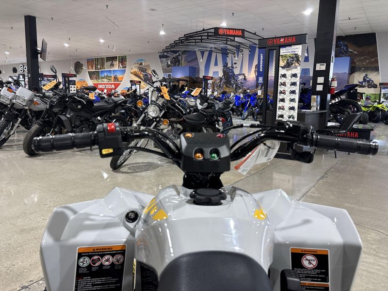 New 2026 Can-Am RENEGADE 70 EFI Image 19