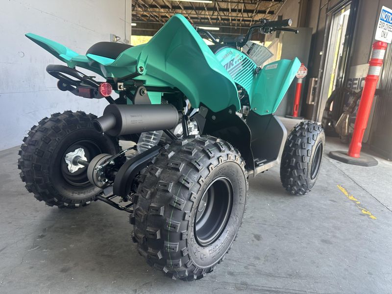 2025 Yamaha RAPTOR 110 Image 11