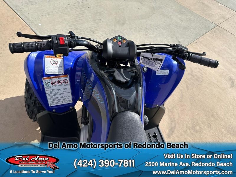 2025 Yamaha RAPTOR 110 Image 4