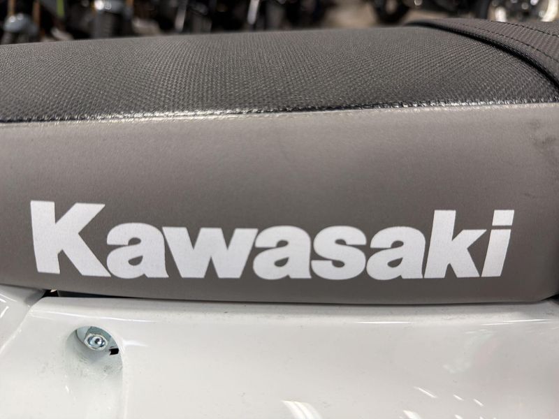 New 2026 Kawasaki KLX300R Image 26