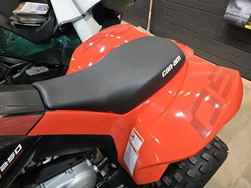 2025 Can-Am DS 250 BLACK AND CANAM RED Image 11