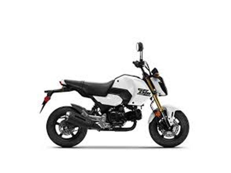 New 2025 Honda GROM Base Image 1