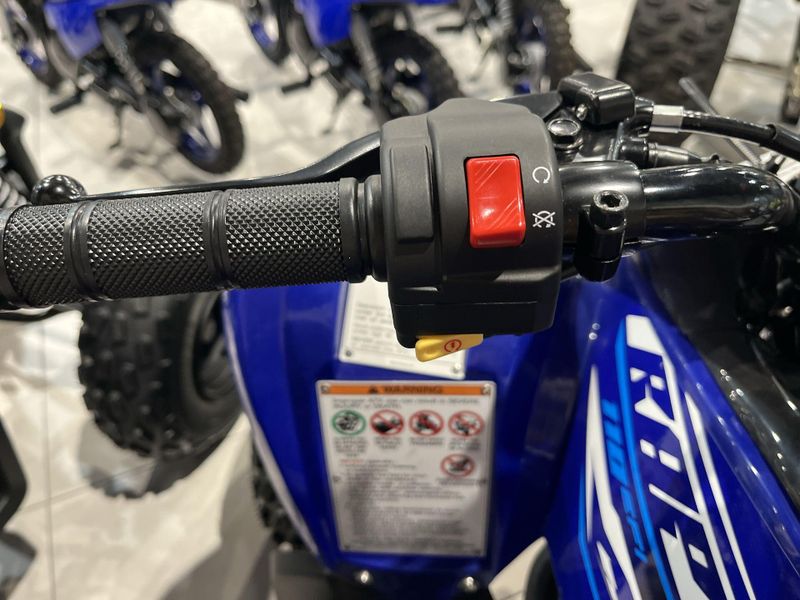 New 2026 Yamaha RAPTOR 110 Image 10