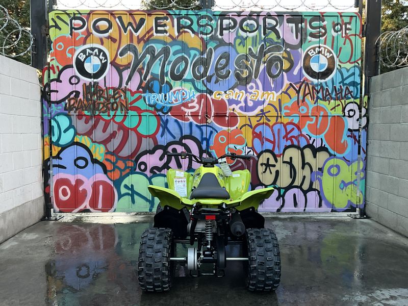 New 2026 Yamaha Raptor 110 Image 6