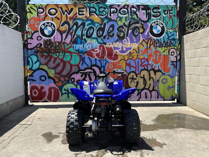 New 2025 Yamaha Raptor 110 Image 6