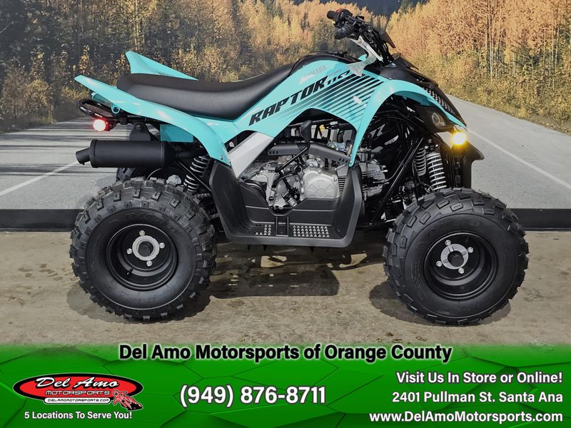 New 2025 Yamaha RAPTOR 110 Image 1