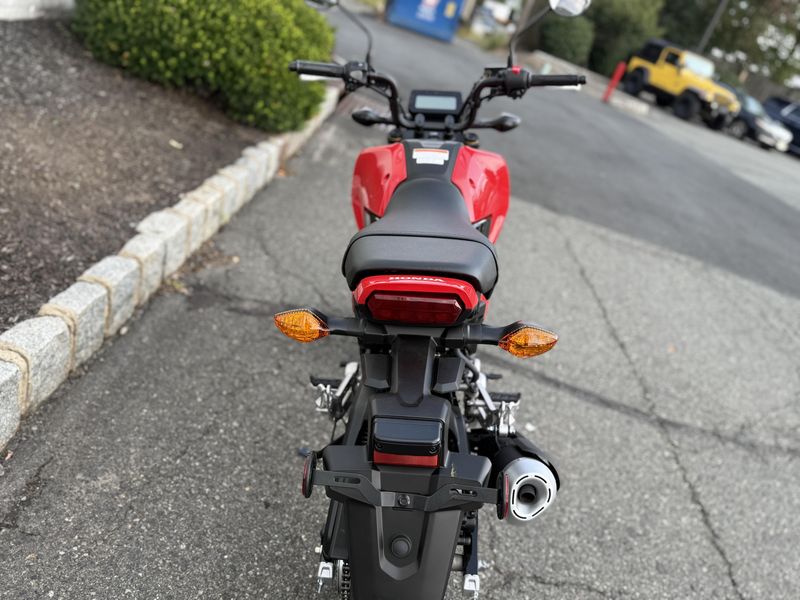 2025 Honda GromImage 5