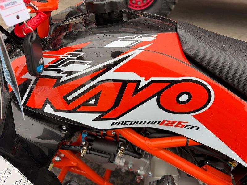 New 2026 KAYO PREDATOR 125 EFI 