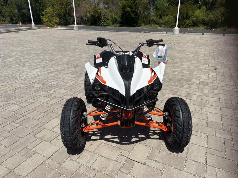 New 2026 Kayo STORM 300 Image 12