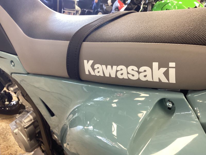 2024 Kawasaki KLX300SMImage 2