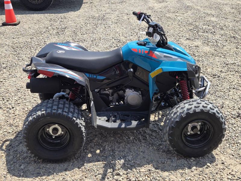 New 2026 Can-Am RENEGADE 110 EFI 
