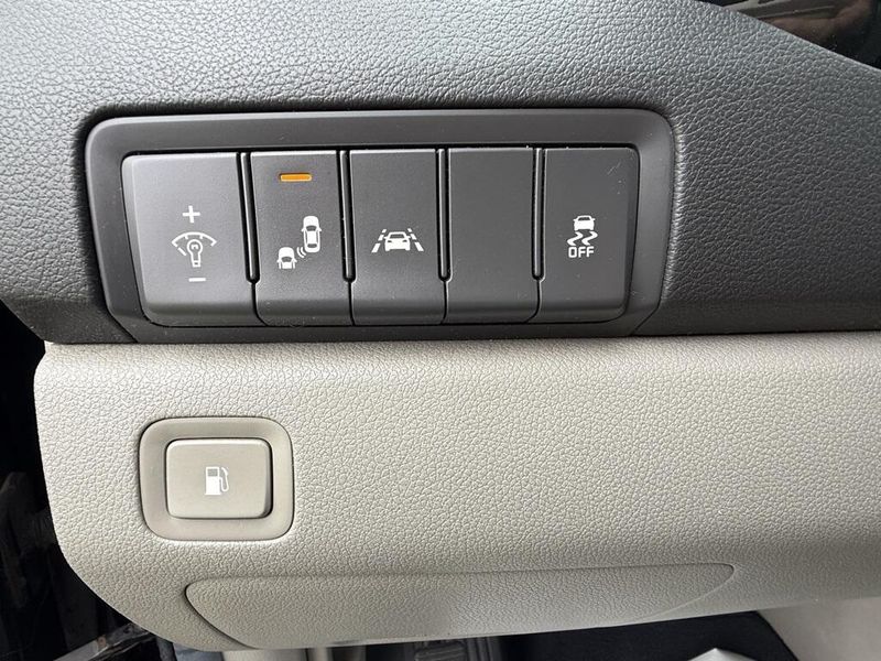 2017 Kia Sedona EX photo 14