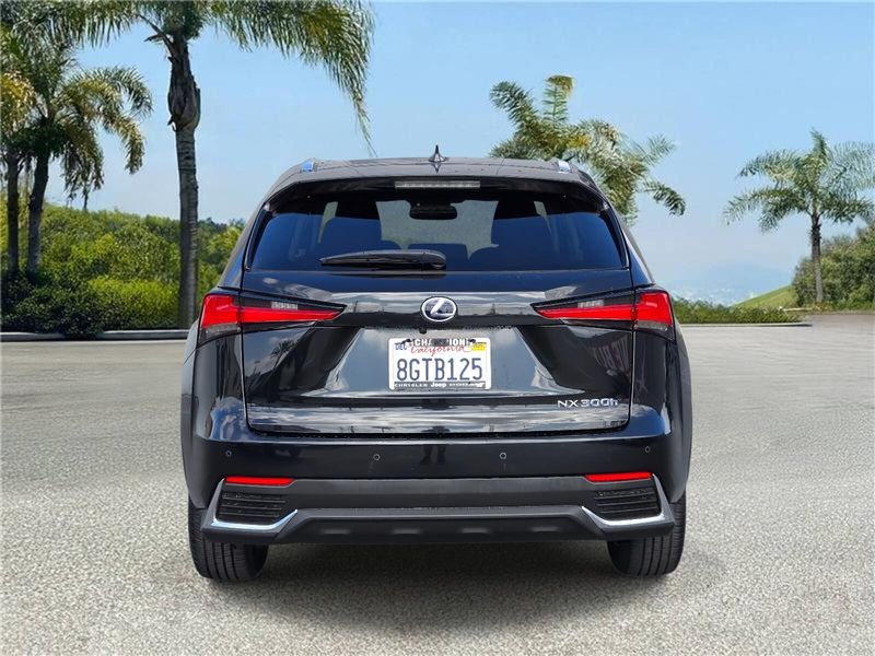 2019 Lexus NX 300h Luxury photo 4
