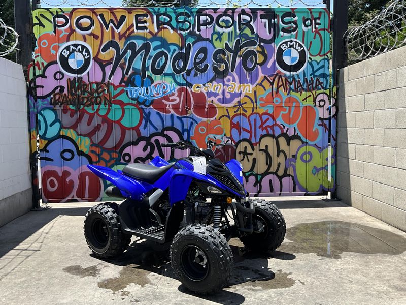 New 2025 Yamaha Raptor 110 Image 3