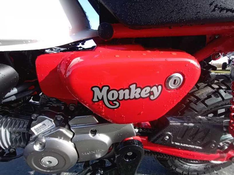 2025 Honda MONKEY ABS 