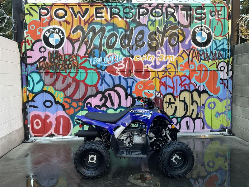 New 2026 Yamaha Raptor 110 Image 4