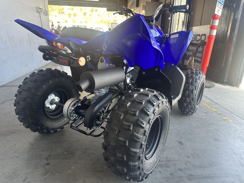 2025 Yamaha RAPTOR 110 Image 10