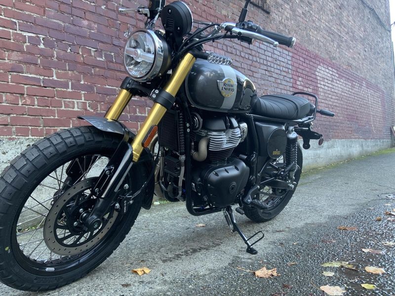 New 2026 Royal Enfield INT BEAR 650 