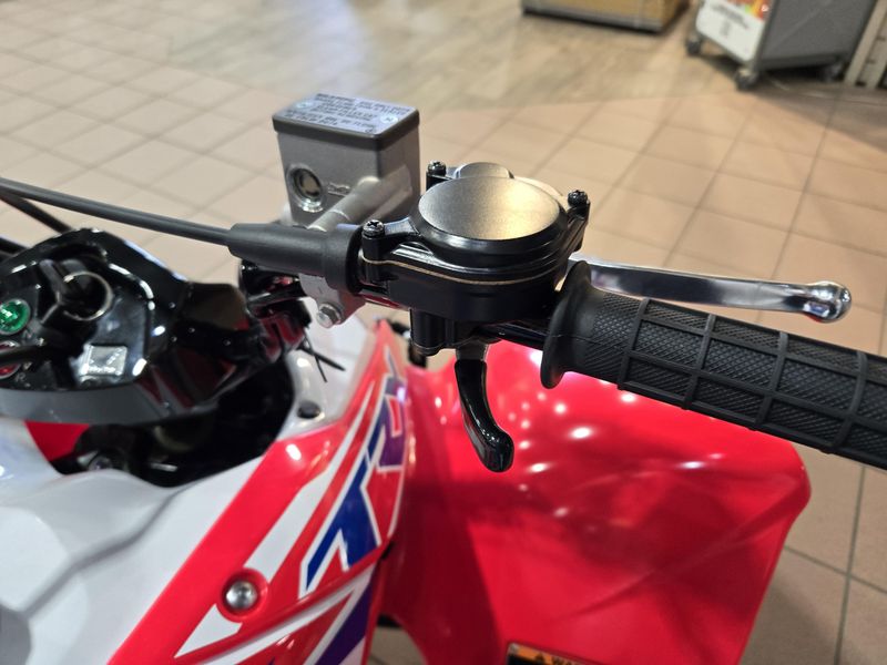 NEW 2026 HONDA TRX 250X Image 16