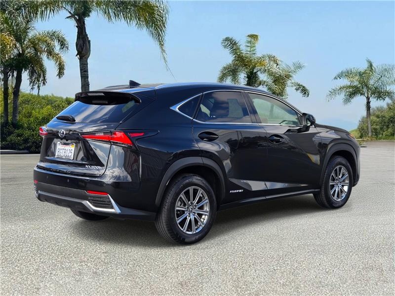 2019 Lexus NX 300h Luxury photo 3