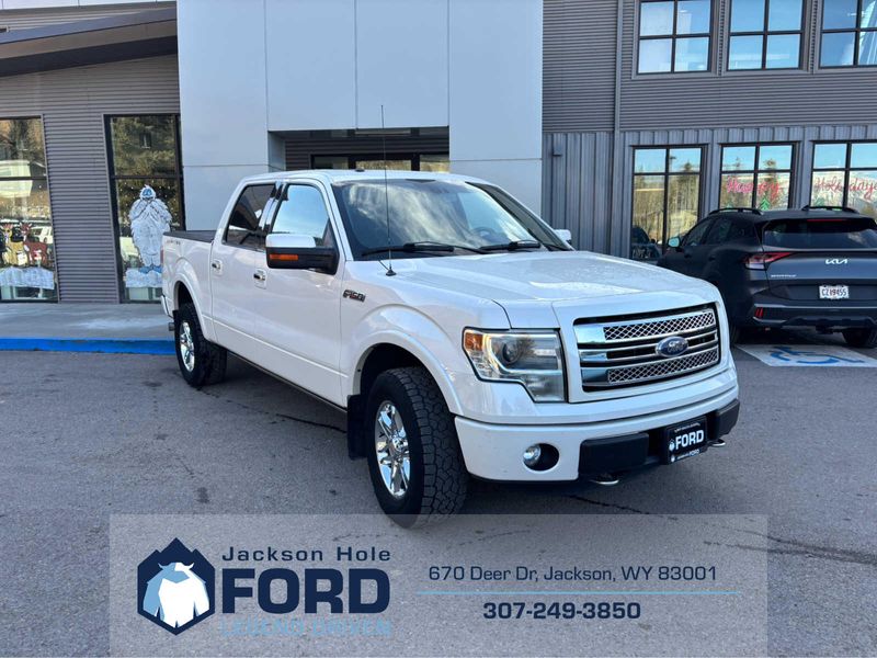 2014 Ford F-150 Platinum photo 2