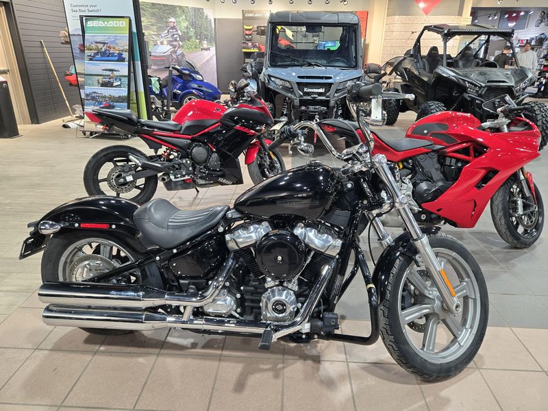 2022 HARLEY SOFTAIL STANDARD Image 2