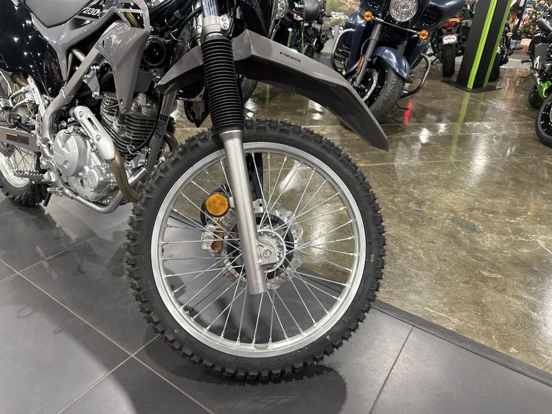 Used 2023 Kawasaki KLX 230S ABS Image 12