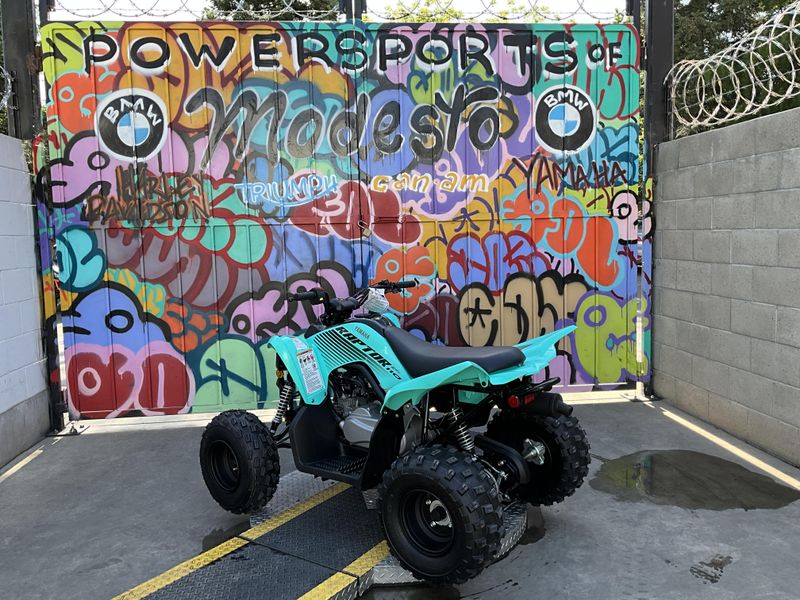 New 2025 Yamaha Raptor 110 Image 3