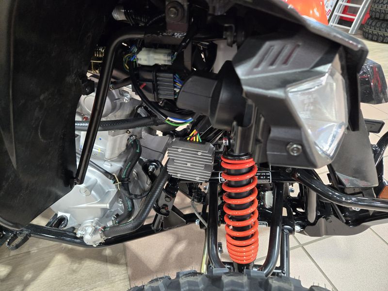 NEW 2026 CAN-AM DS 250 Image 19