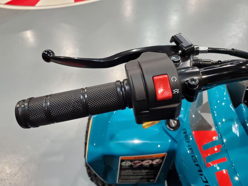 New 2026 Can-Am RENEGADE 110 EFI Image 8