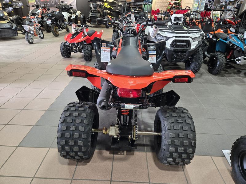 NEW 2026 CAN-AM DS 250 Image 9