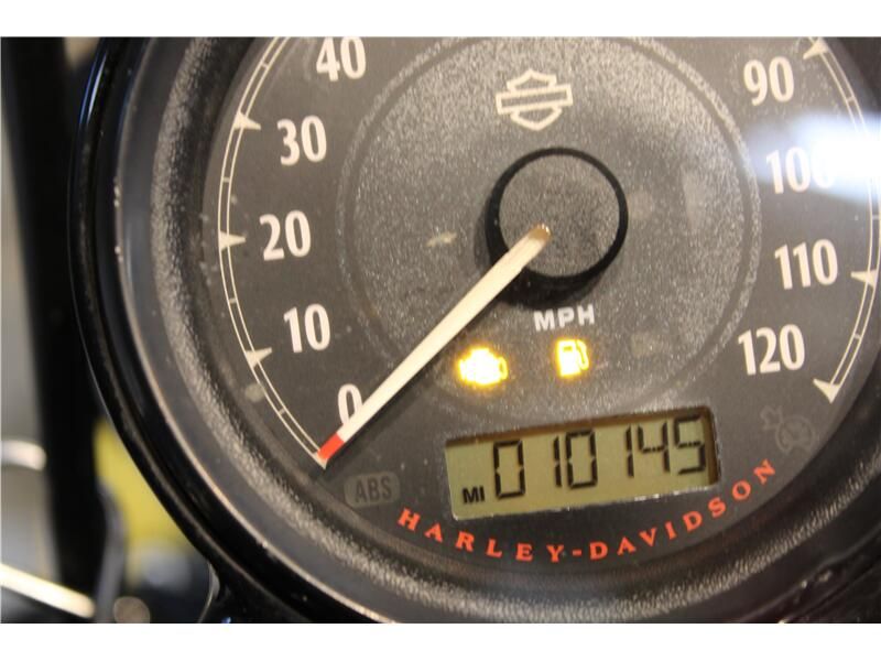 2020 Harley-Davidson Sportster Image 5