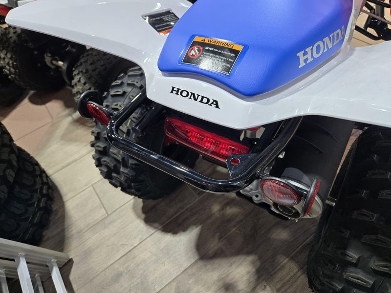 NEW 2026 HONDA TRX 250X Image 11