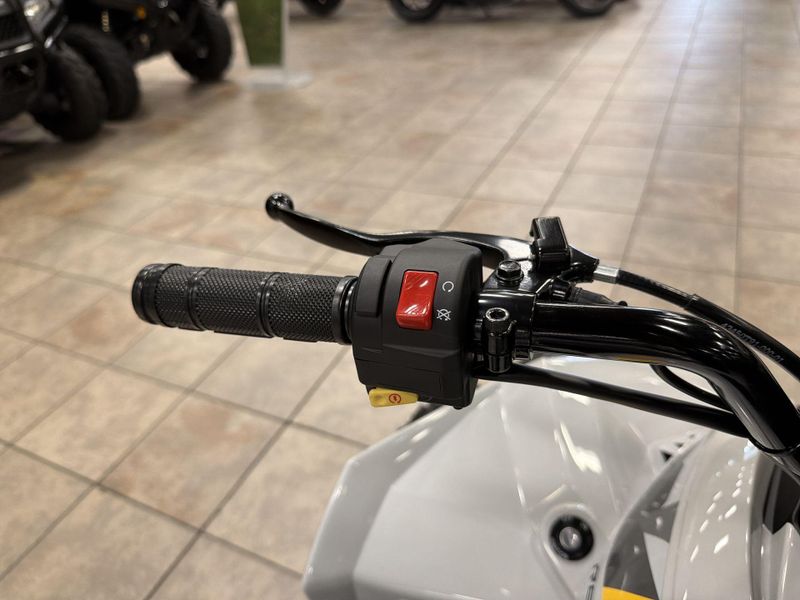 New 2026 Can-Am RENEGADE 110 EFI Image 22