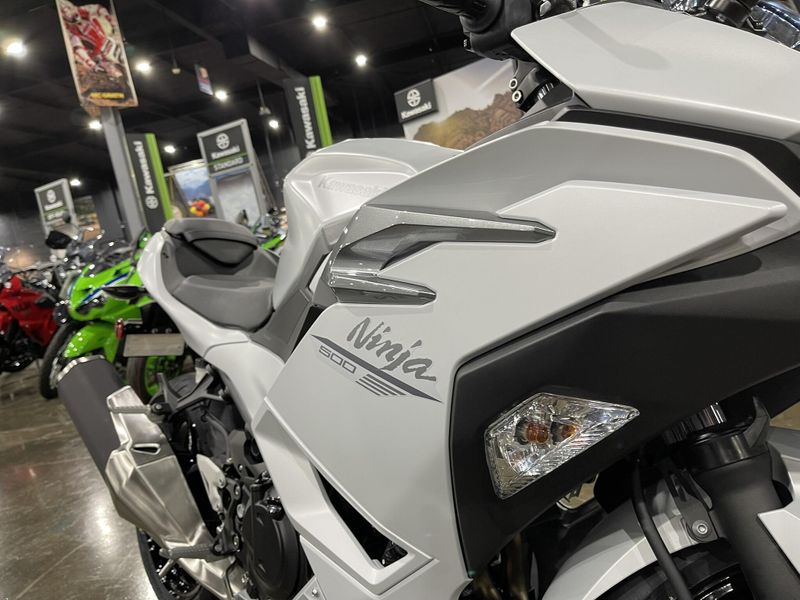2025 Kawasaki NINJA 500 ABS Image 8